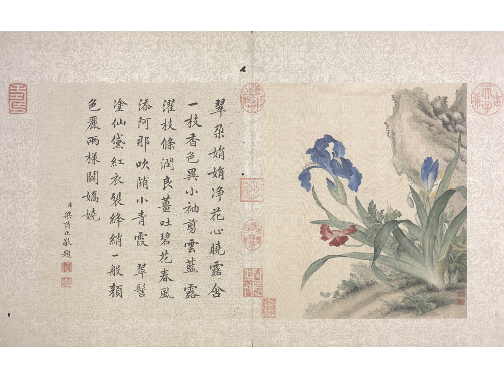 图片[5]-Lang Shining Flowers and Birds Illustrated Books-China Archive